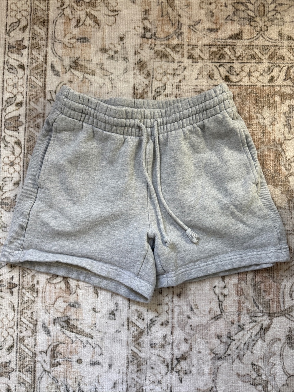 Aritzia TNA Sweatshorts